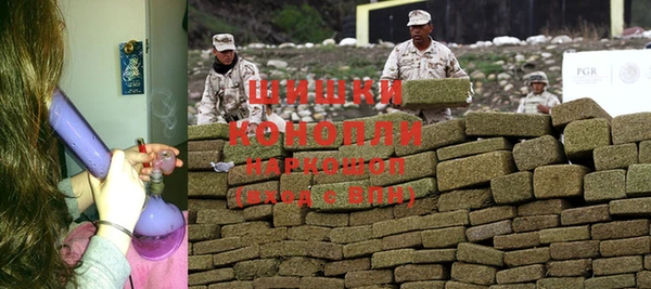 гидра Яранск