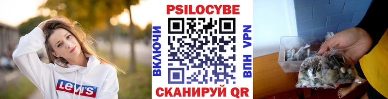 Псилоцибиновые грибы GOLDEN TEACHER  Купить где  Тихорецк 